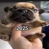 kopmv30000
