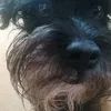 santo.dos1