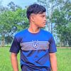 md.dinslem