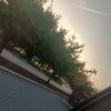jocelin.gonzalez59