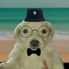 perrito.pensador