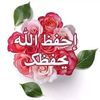 user81112270481175