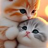 aicha.tmouchantya