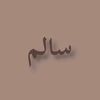 s_a_l_em17