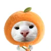 qu.cam47