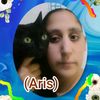 aris1084788140