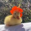 salma_tamer25