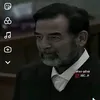 mohameddj12