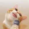 tutranemay