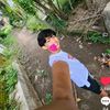 lihinoppo61