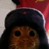 amador_napo