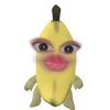 zyna_00_00