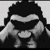 yourlocaldummy601