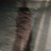 its.meorsya_j