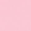 always_najwss