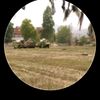 rahim.sahri