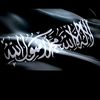 user3117518291004