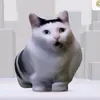 jesterquirog8