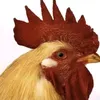 nhoemnensuc