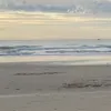 channng00