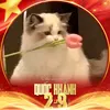 danghai28_21