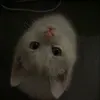 qlllxso