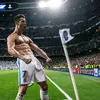 cris.bzn