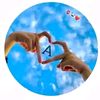 kamal.shrestha298