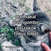 wongsangar949