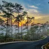 truong.bui78