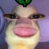 user5748840511103