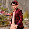 waseemakarm499