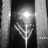 ngahtet797