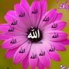 user8654412909115
