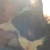 jhxd128