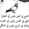 user59365001829610
