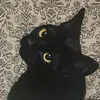 _rlcz