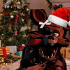 foxy_aanaaa