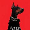 preshy2443
