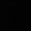 sissprivv2456