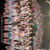 .jkt4890