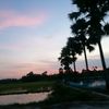hamida.sultana536