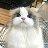 kilaito