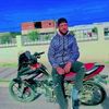 mll.bachar