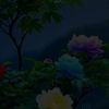user3541458527951