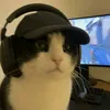 pmc_w3