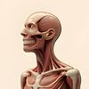 Body 3D hub