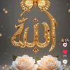 maqa8289