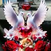 user8505603698250