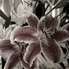 a_tebe_fao